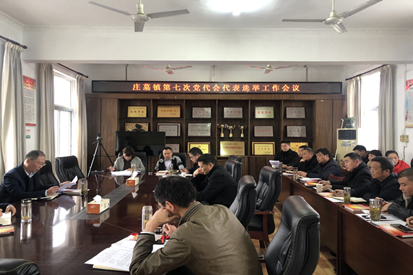 黨代表選舉工作會IMG_9930_副本.jpg