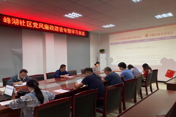 長豐(雙鳳)經開區:“三個強化”做好隊伍管理,永葆廉潔初心1.jpg